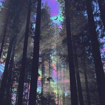 best365网页版登录